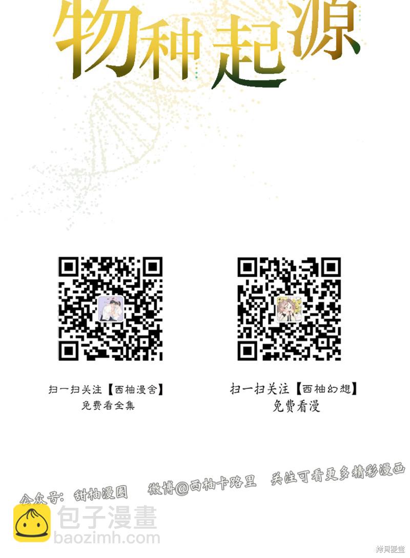 第3话11