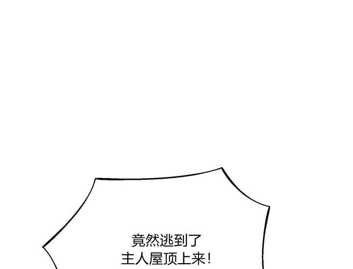 第41话7