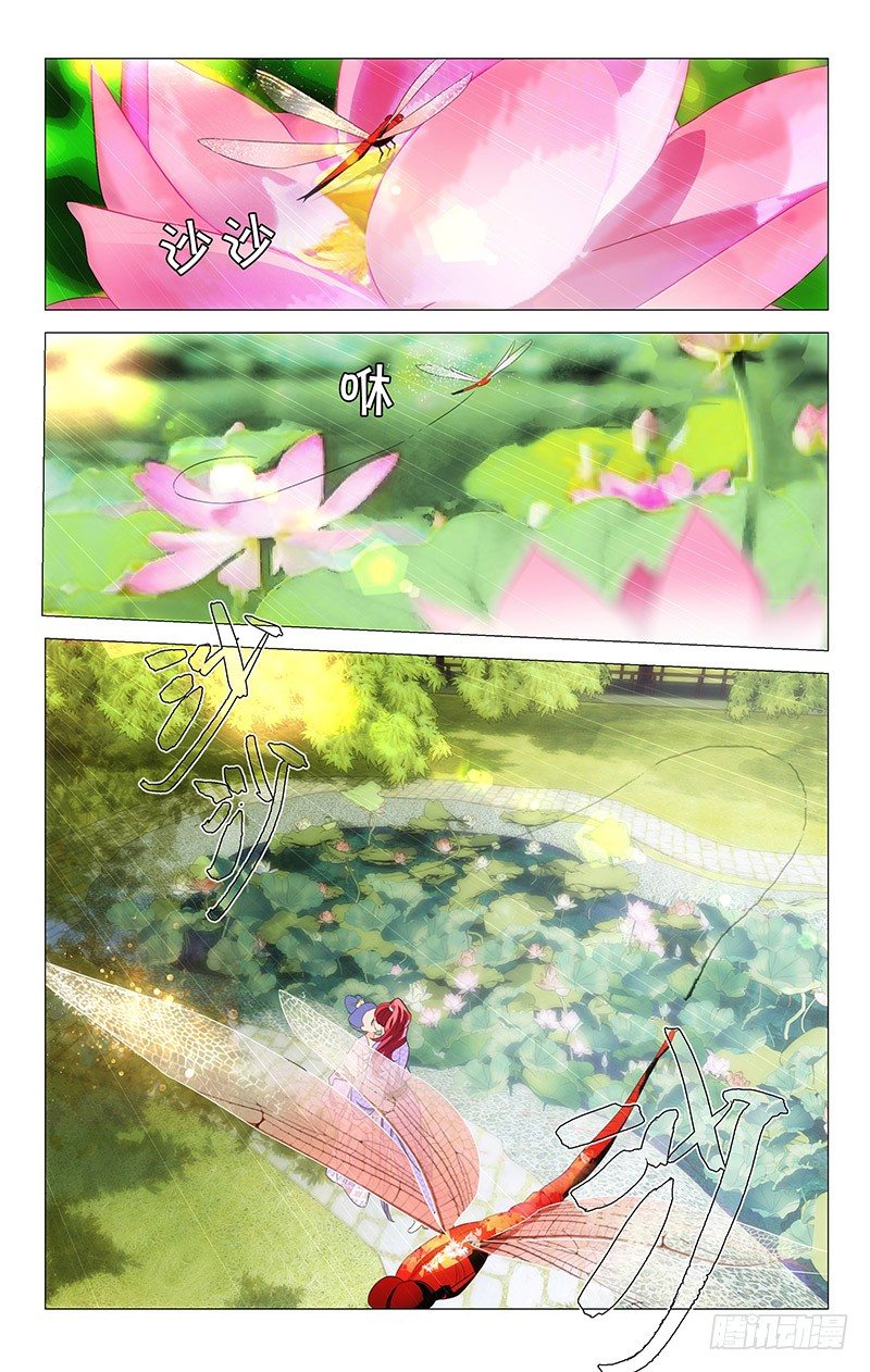 121竹韵职业拆西皮0