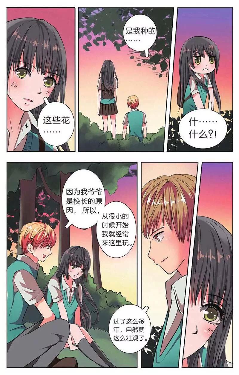 第442期397