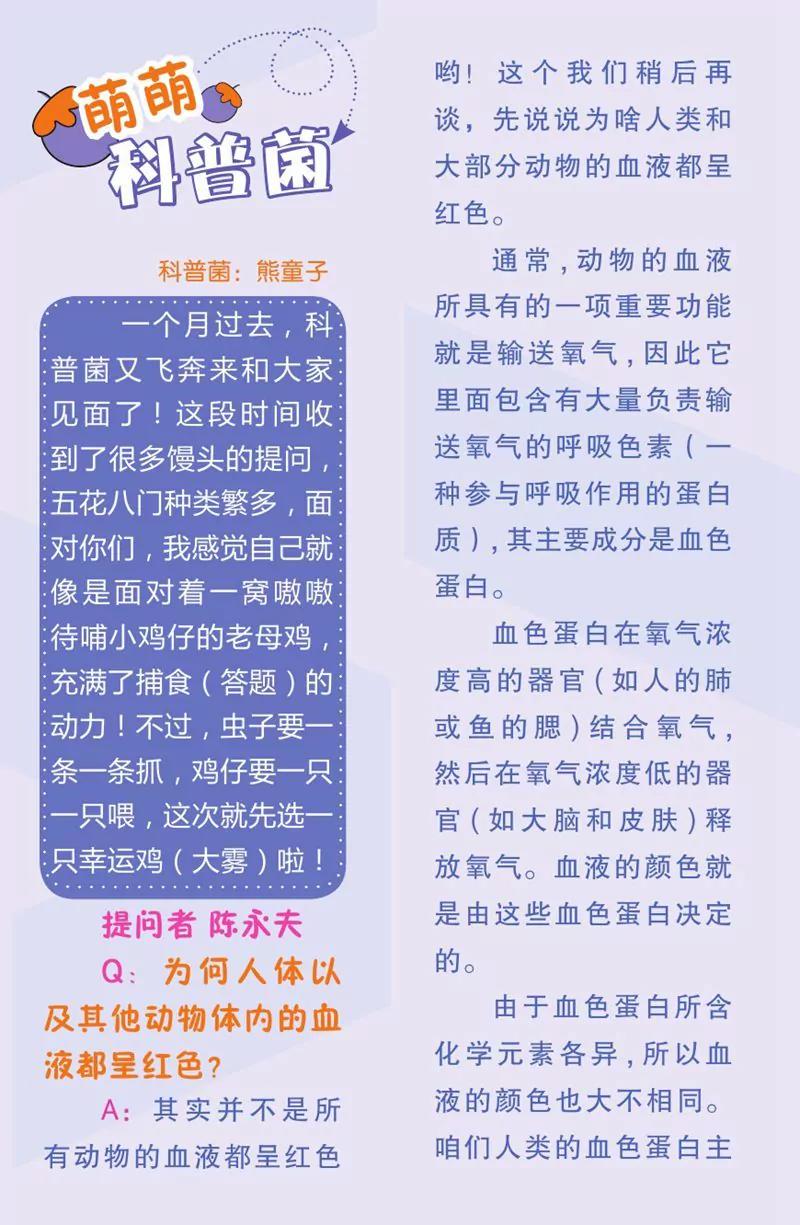 第444期28