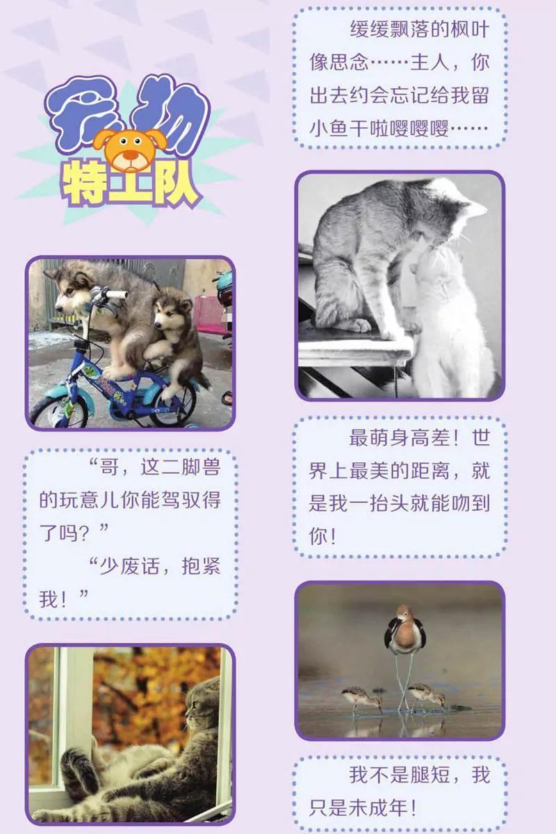 第444期93