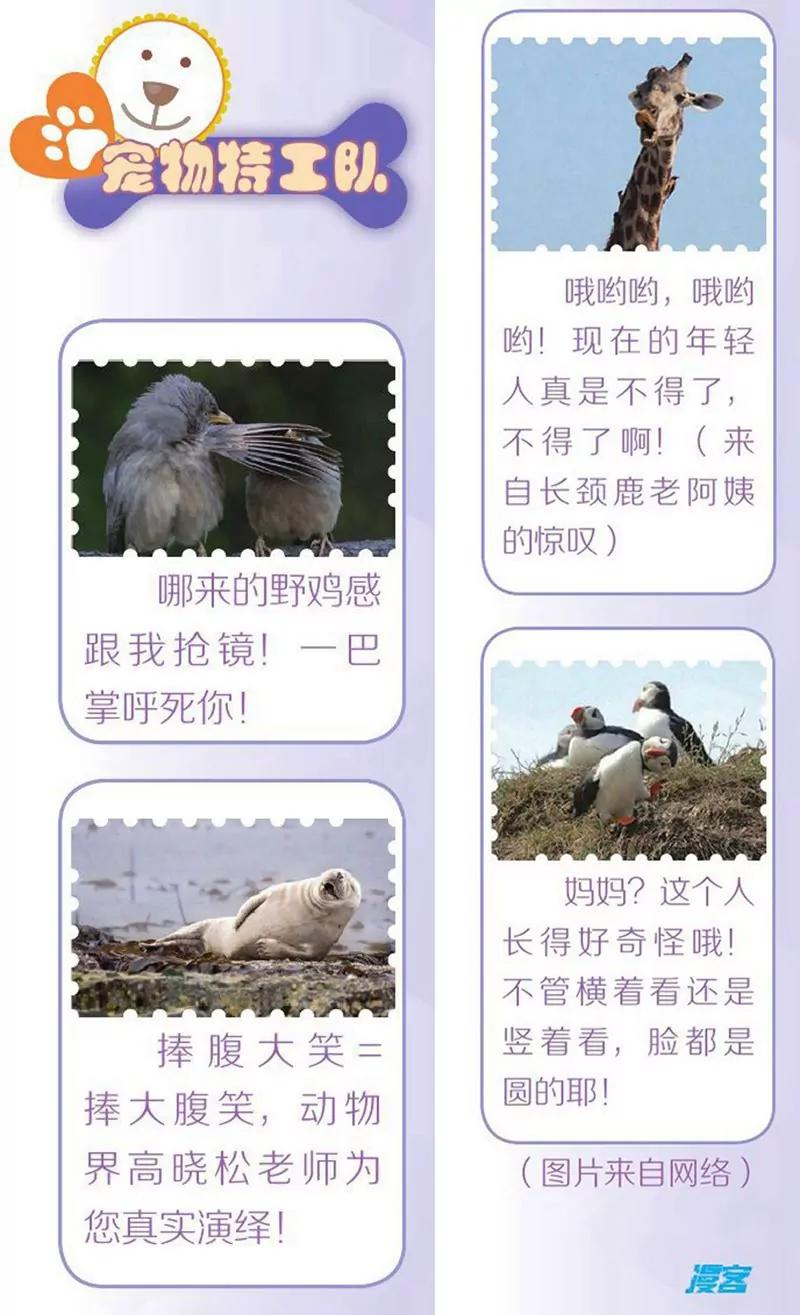 第452期164