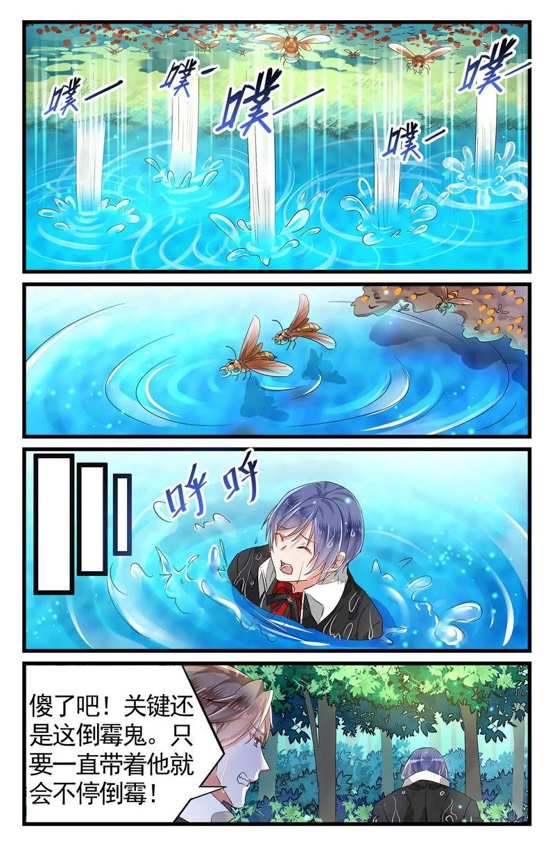 第475期202