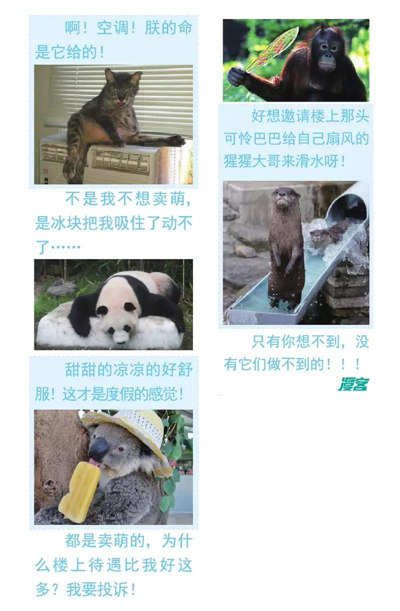 第475期63