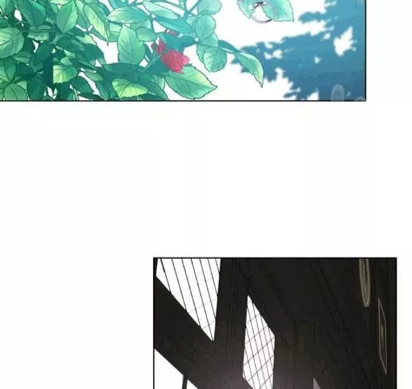 第41话37