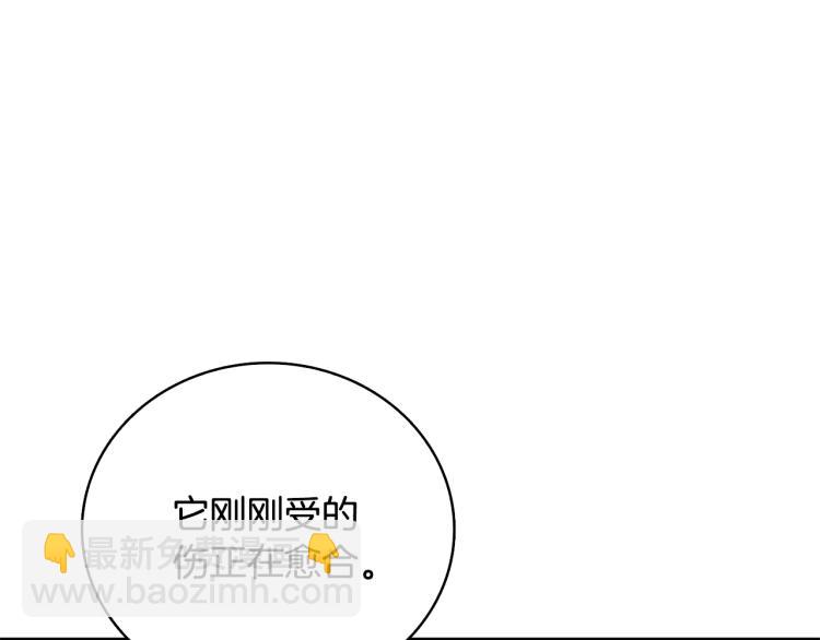 第99话 域外升级162