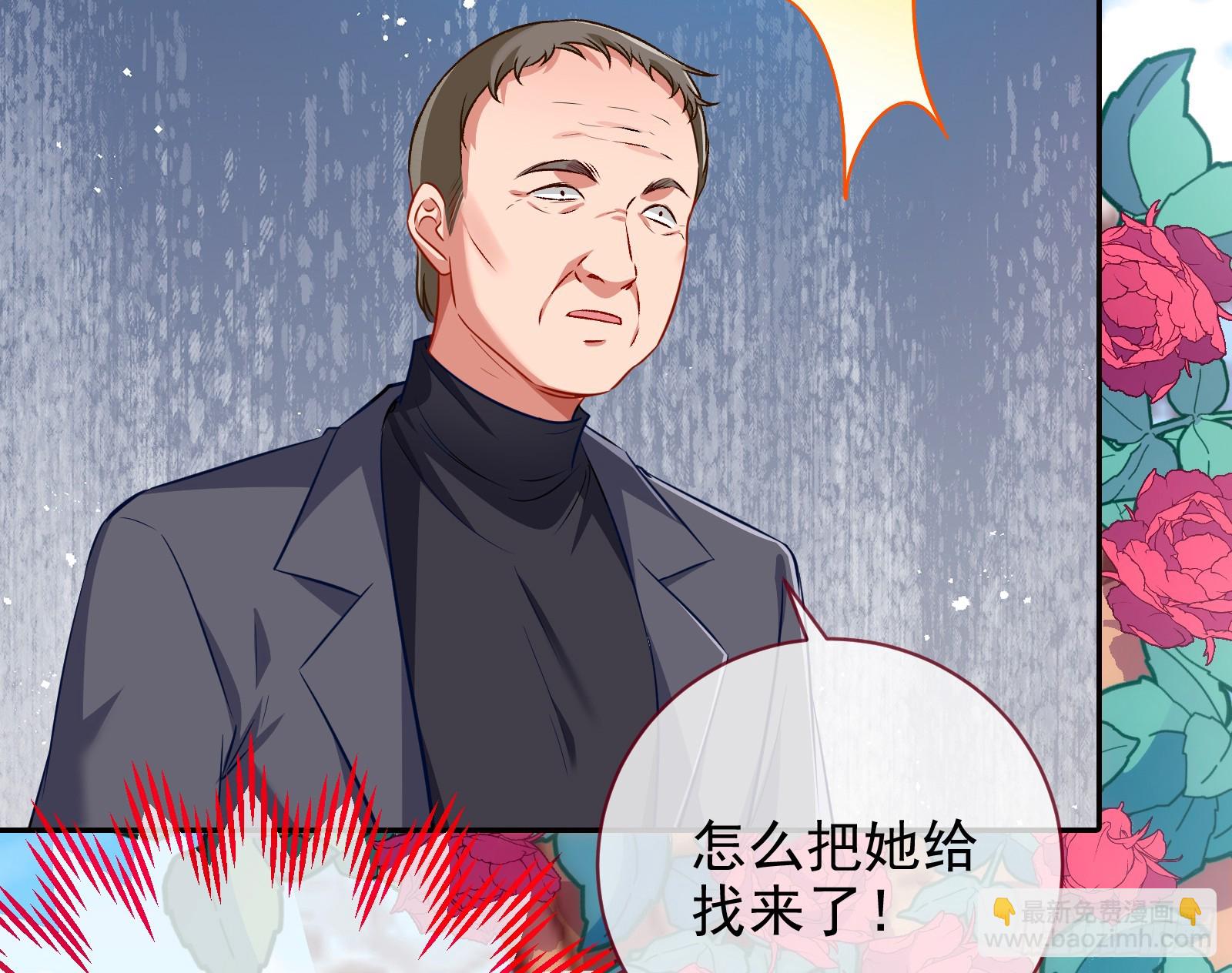 完美家庭18
