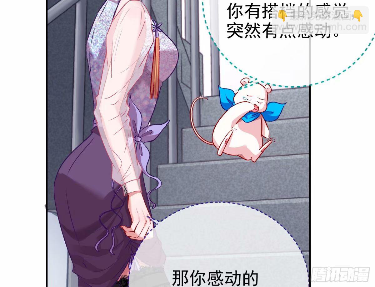 离婚官司87
