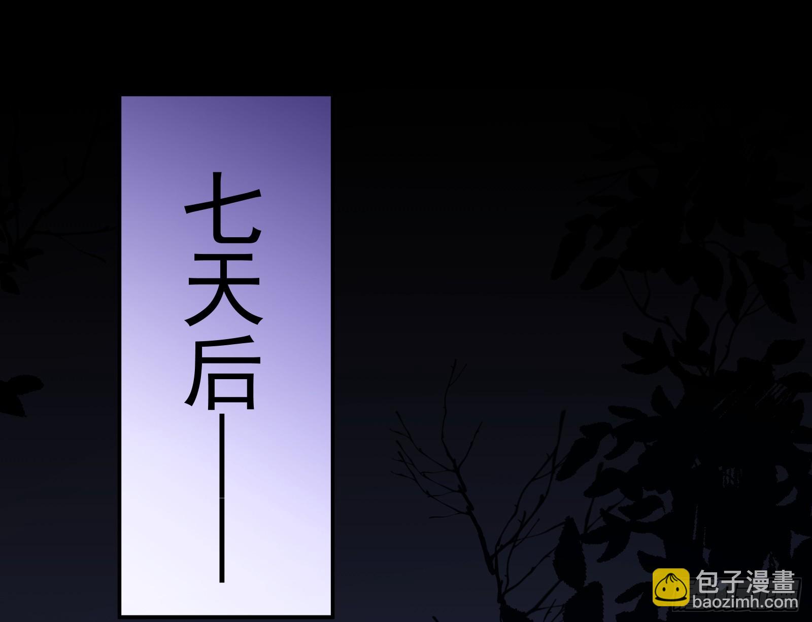 一双绣花鞋13