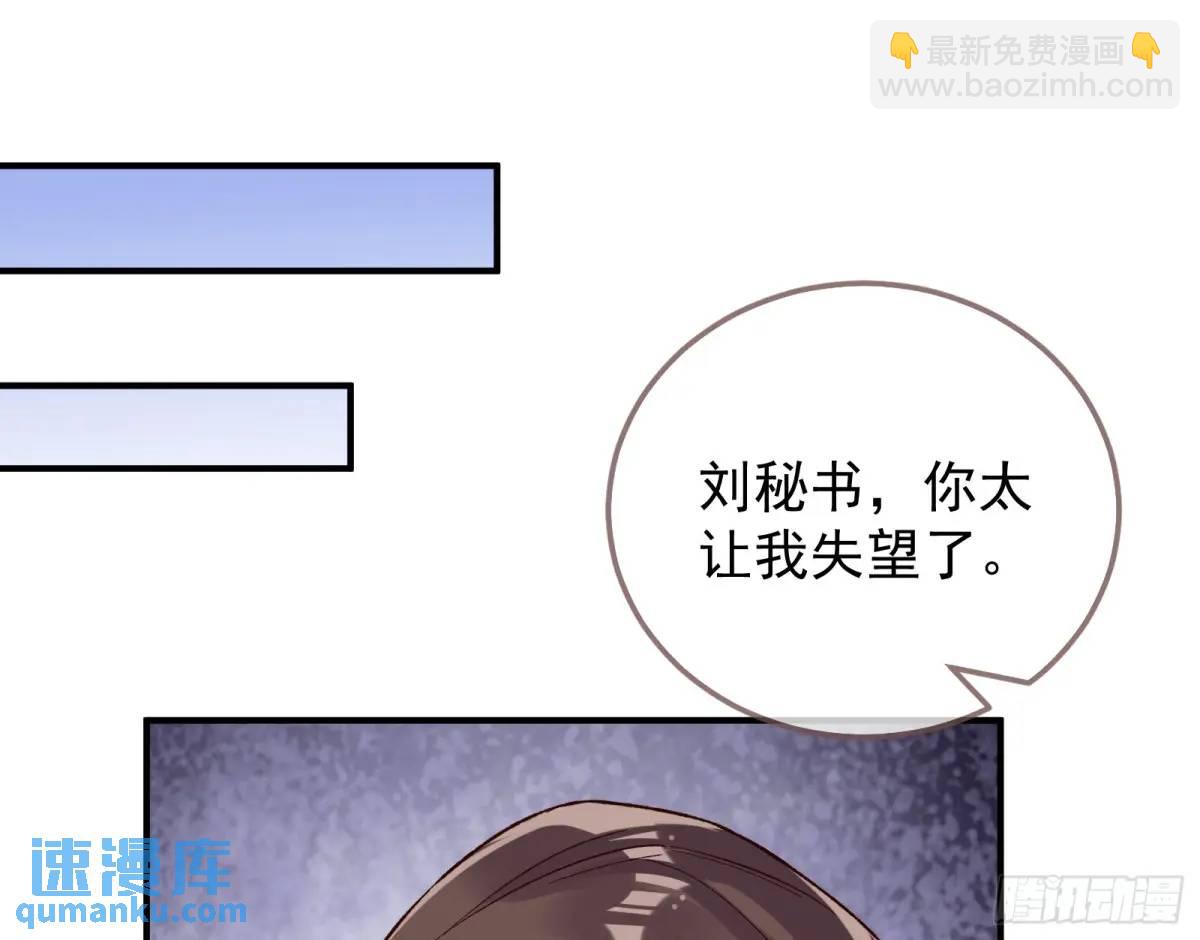 省城来的特派员2