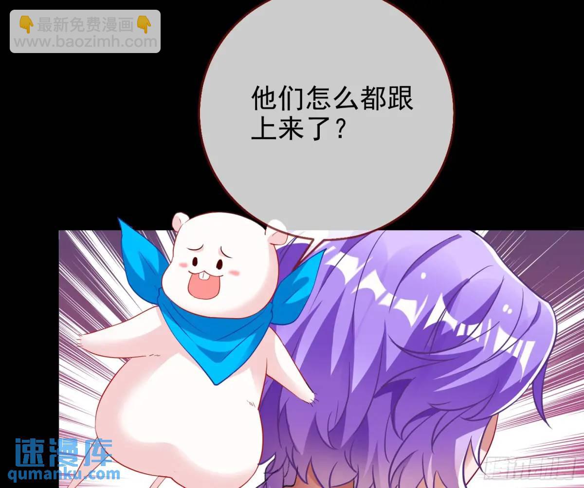 空手套白狼5