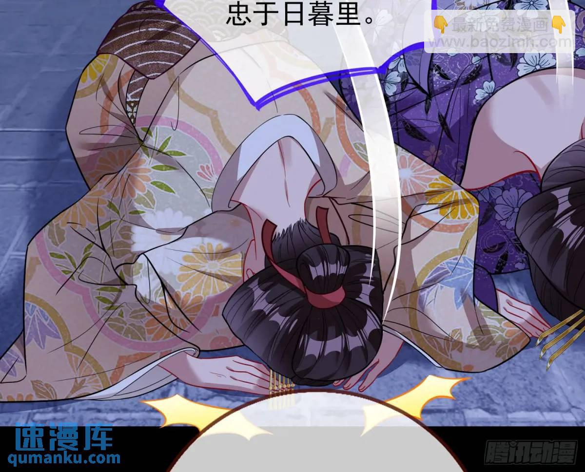 空手套白狼80