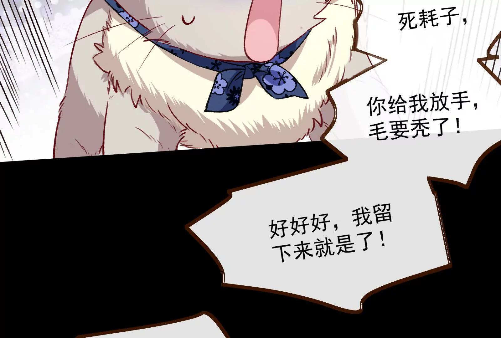 彩蛋0237