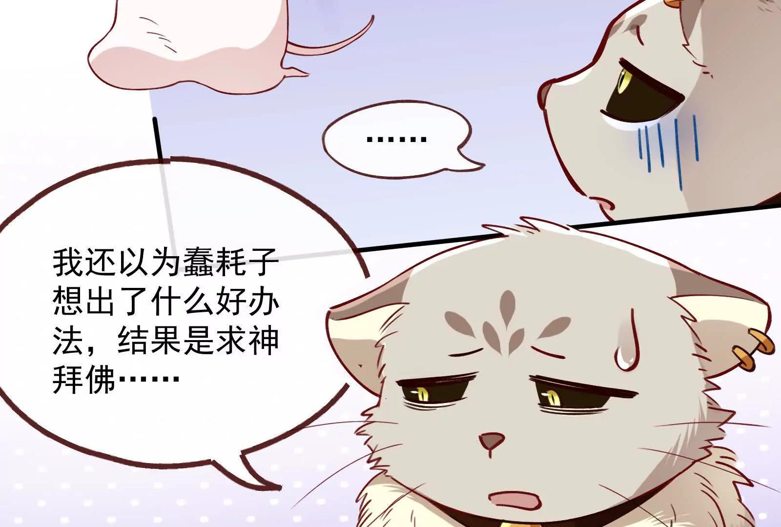 彩蛋0255