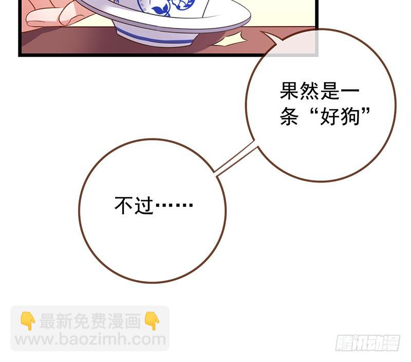 本宫也不是什么恶魔11