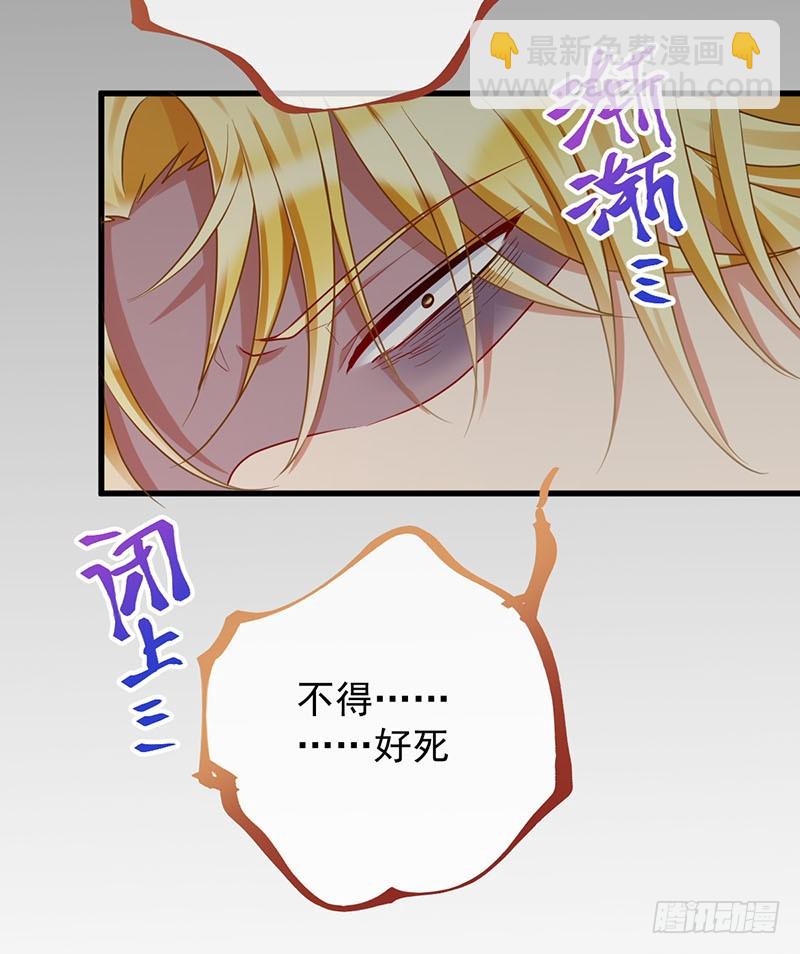求婚大作战11