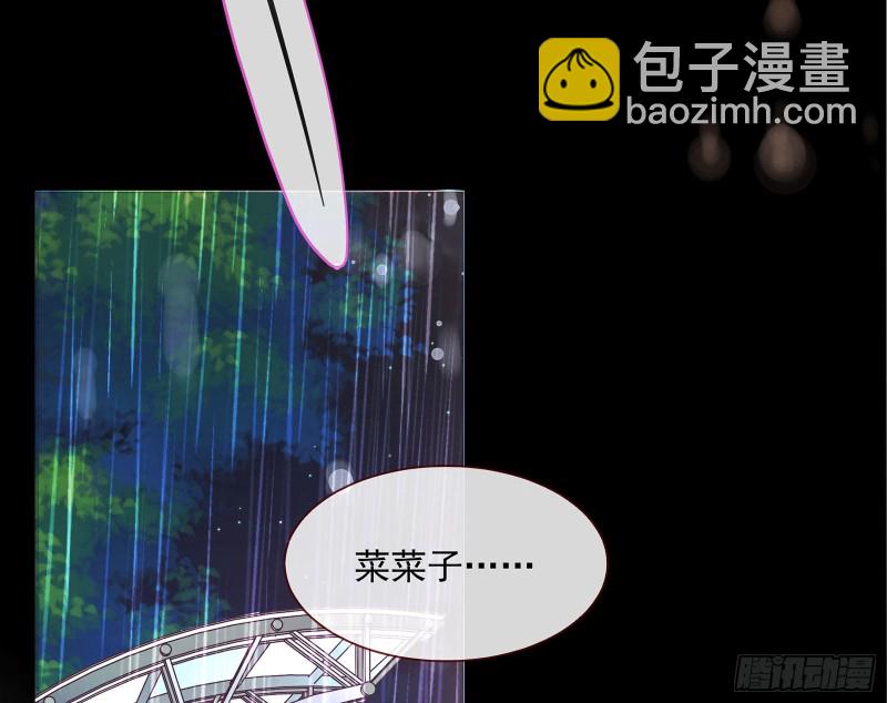 完美的求婚123