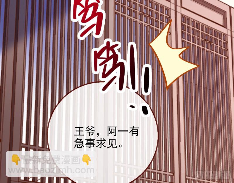 宫女芍药29