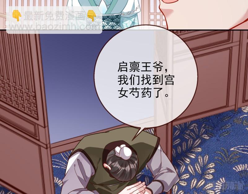 宫女芍药32