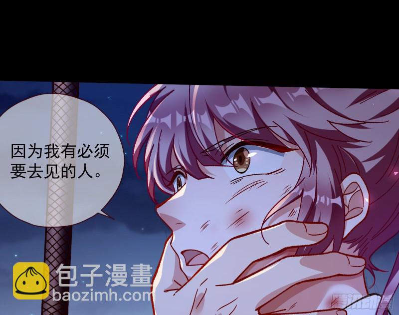 外挂已到账31
