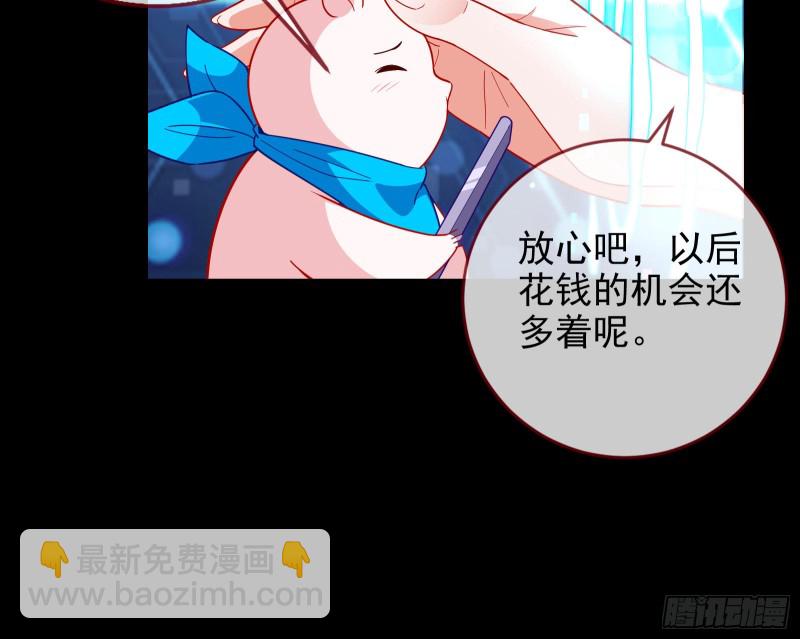 七生七世万里菊花116