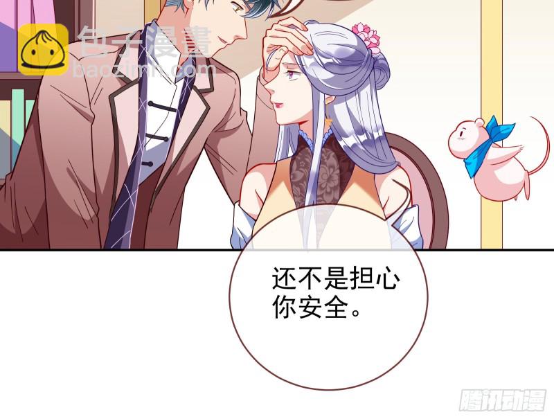 七生七世万里菊花127