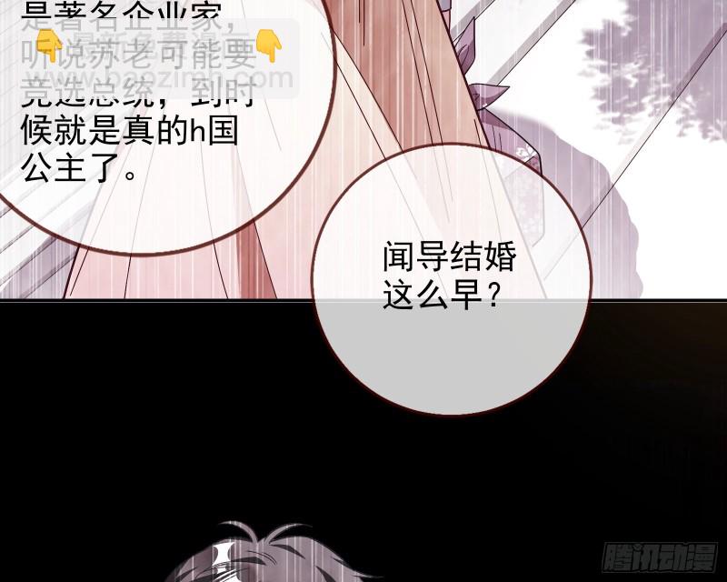 七生七世万里菊花17