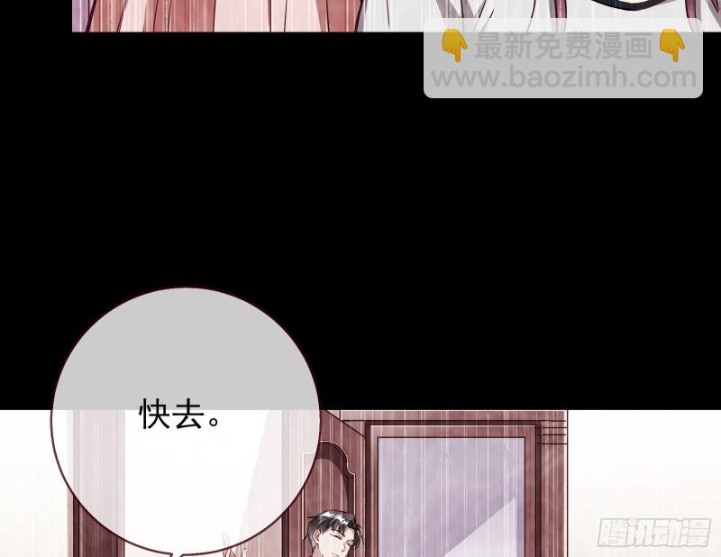 七生七世万里菊花49