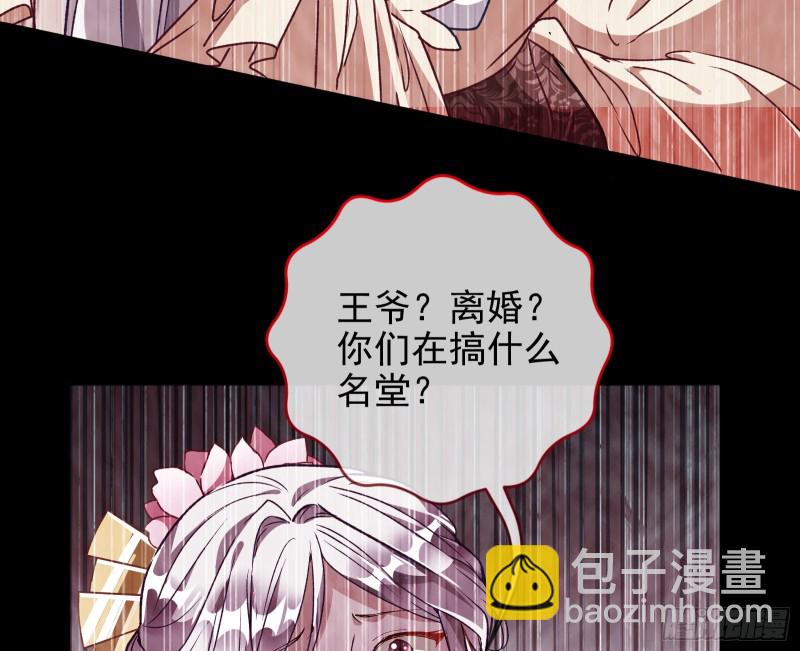 七生七世万里菊花76
