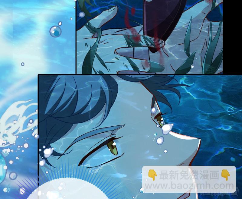 气运之子101