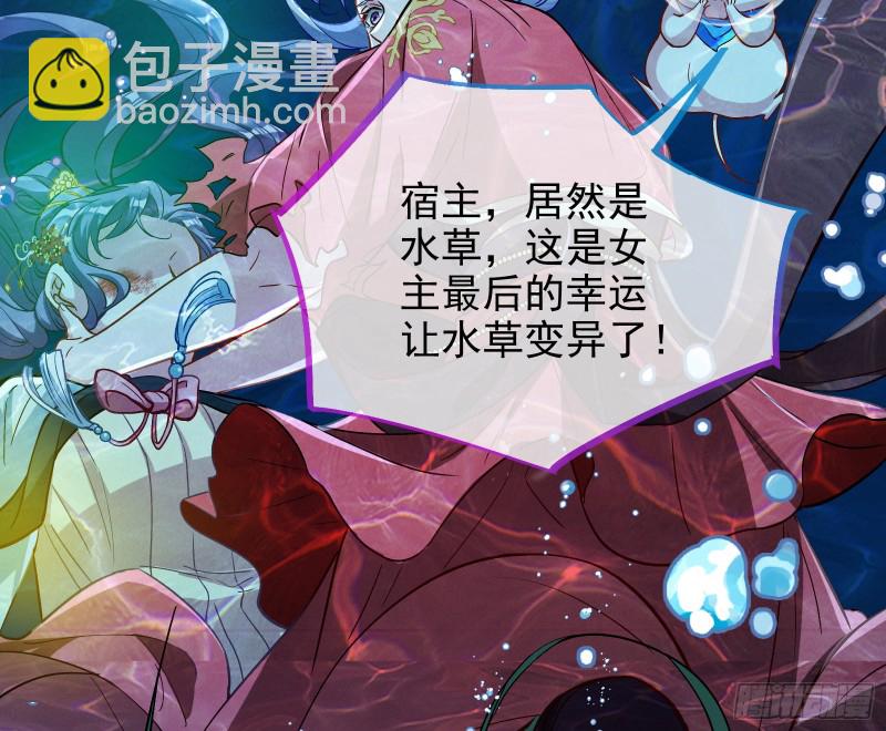 气运之子80
