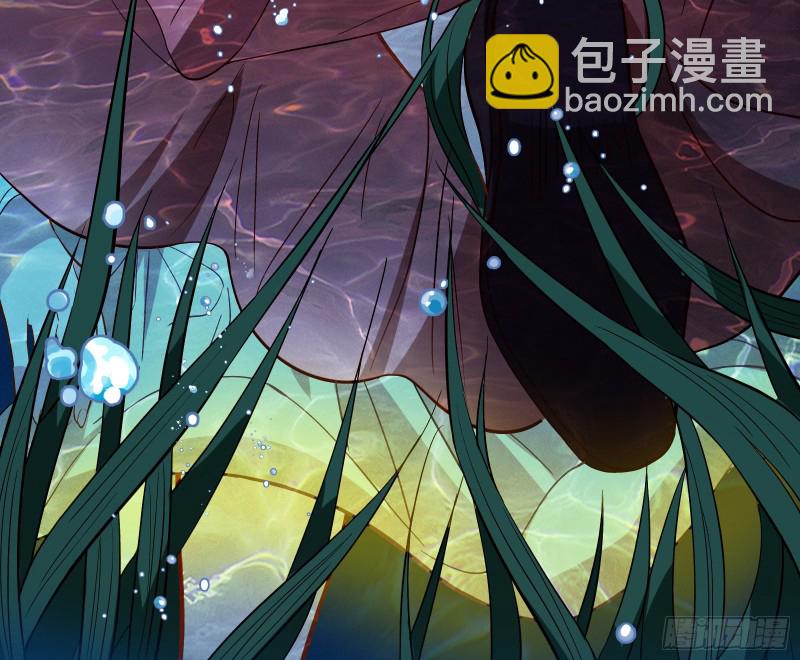 气运之子81