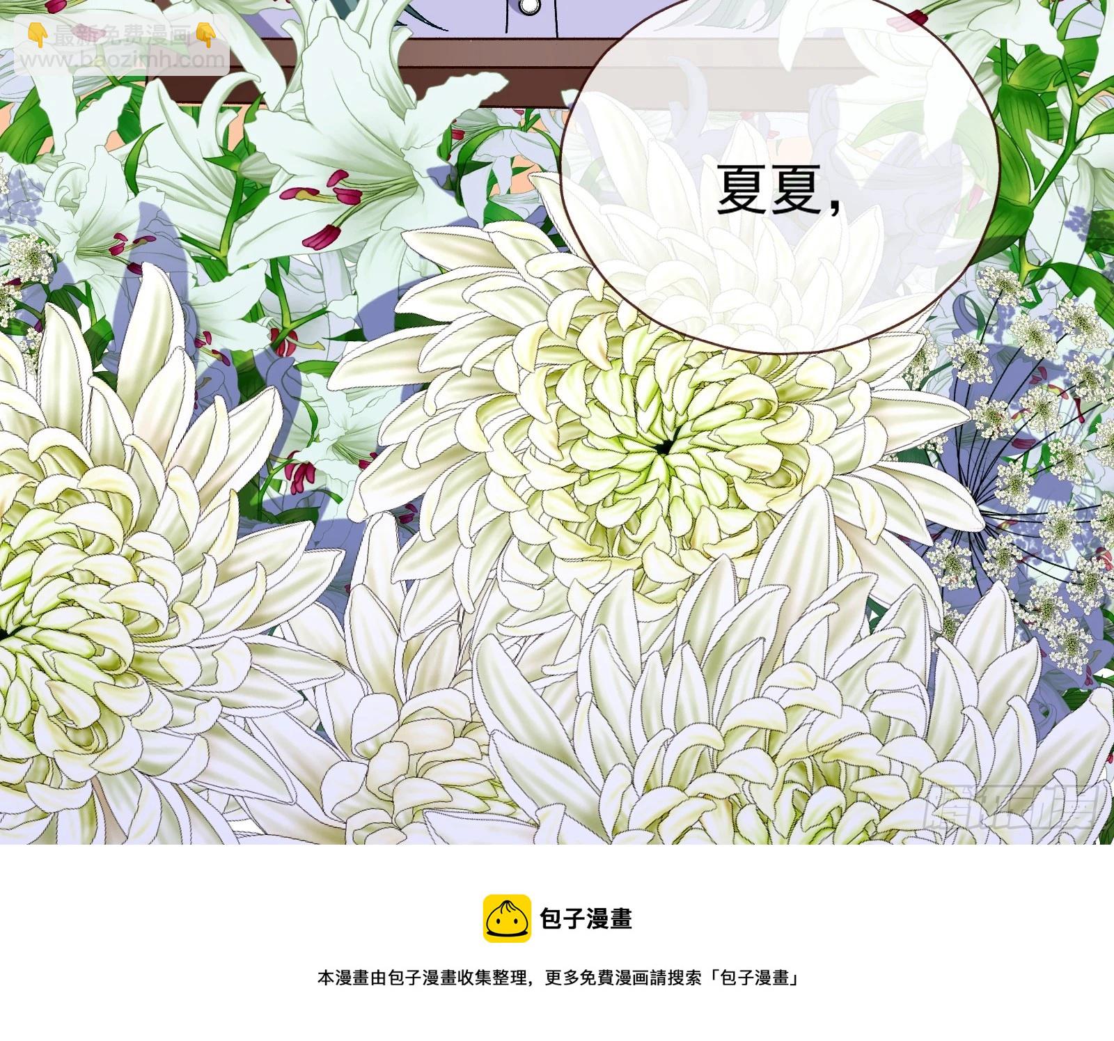 偶像与玩物53
