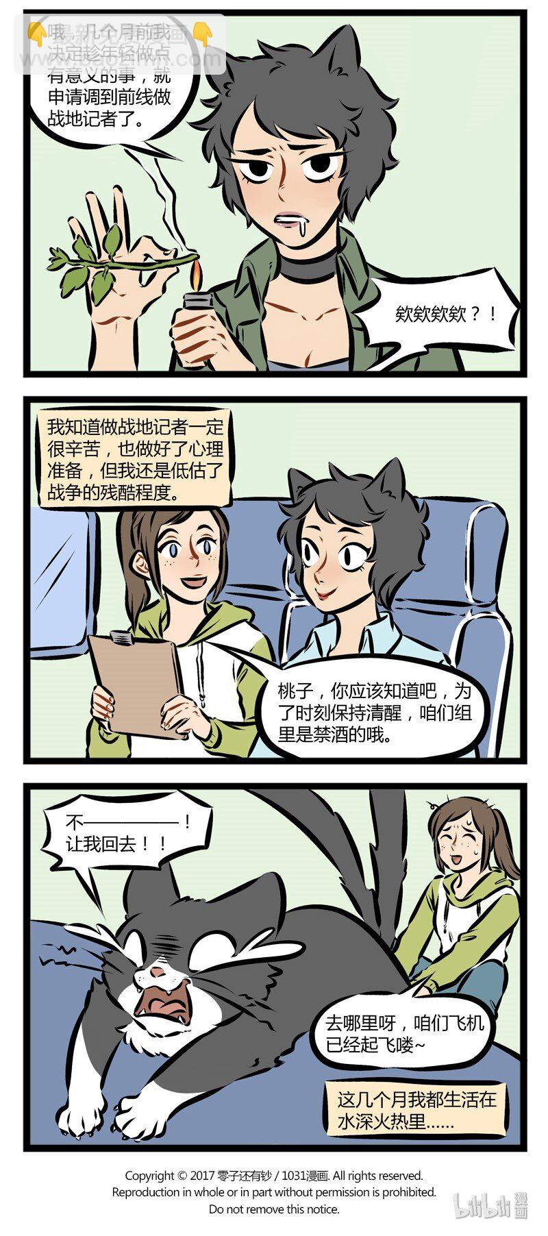 第134话 猫咪总是在你停止找它的时候出现。3