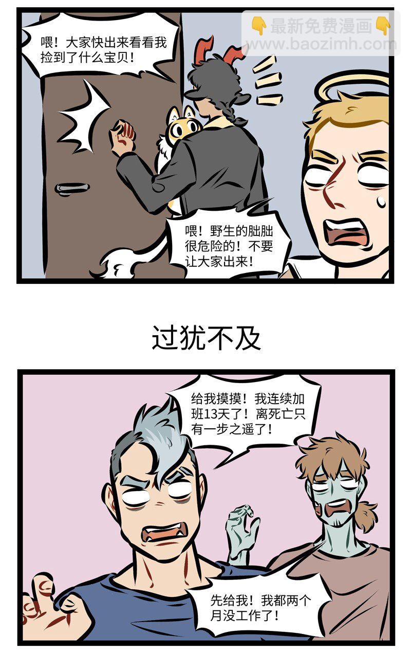 第245话 何以解忧，唯有撸猫！2