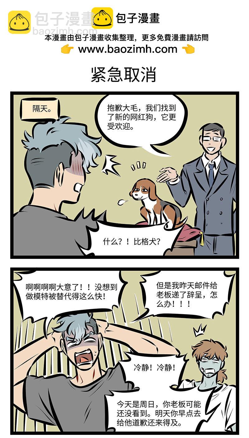 第740话 合作2