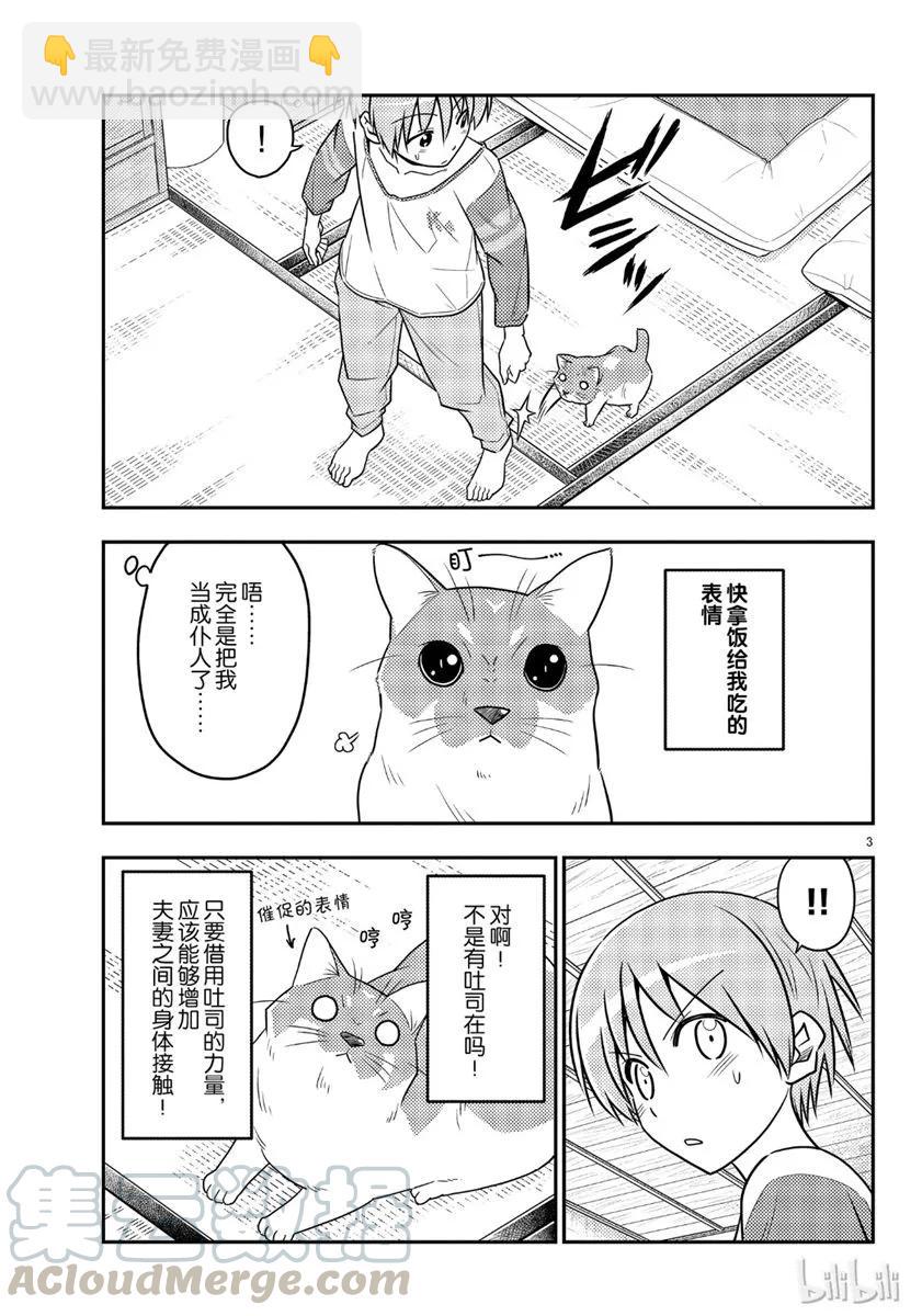 53 第53话“猫  vs  夫妻”2