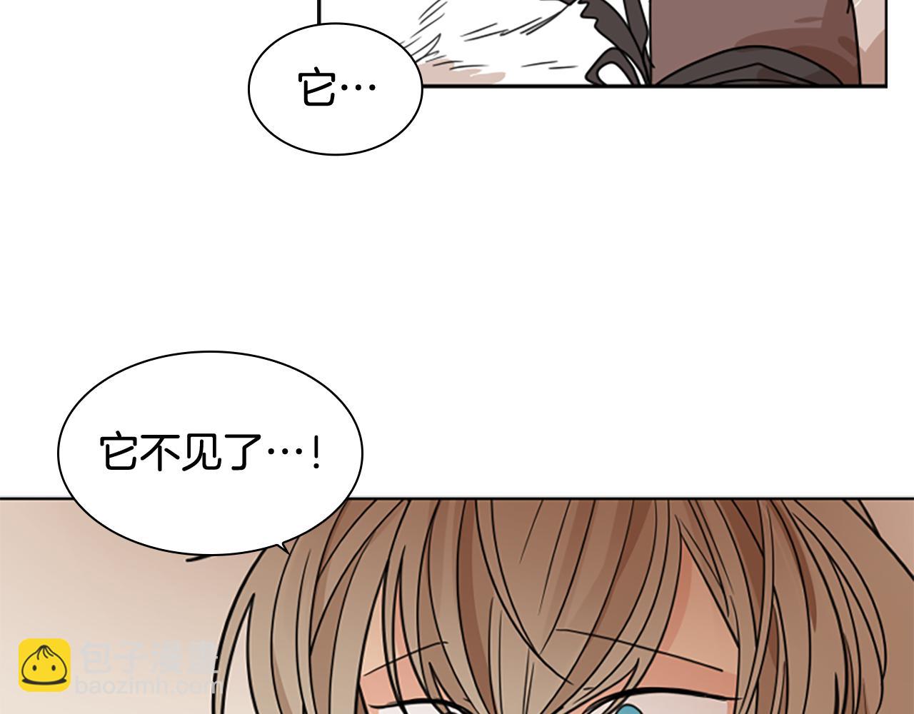 第121话 遗失的宝石117