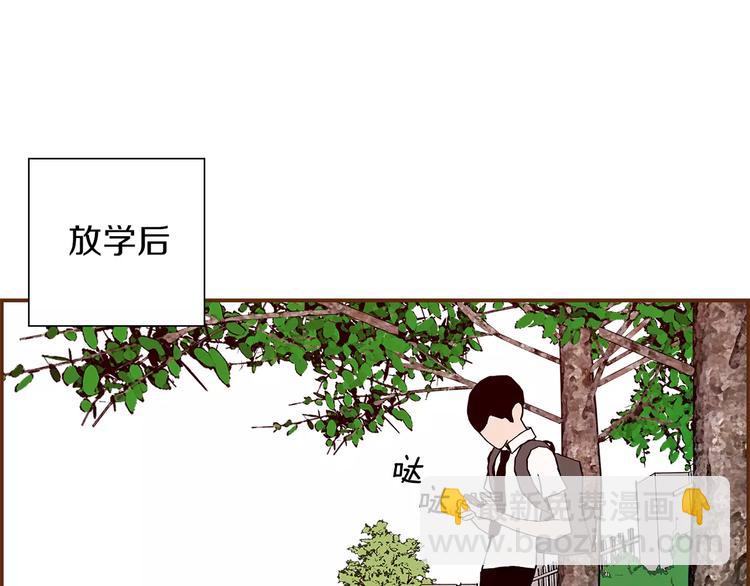 第4话 感情的种类3