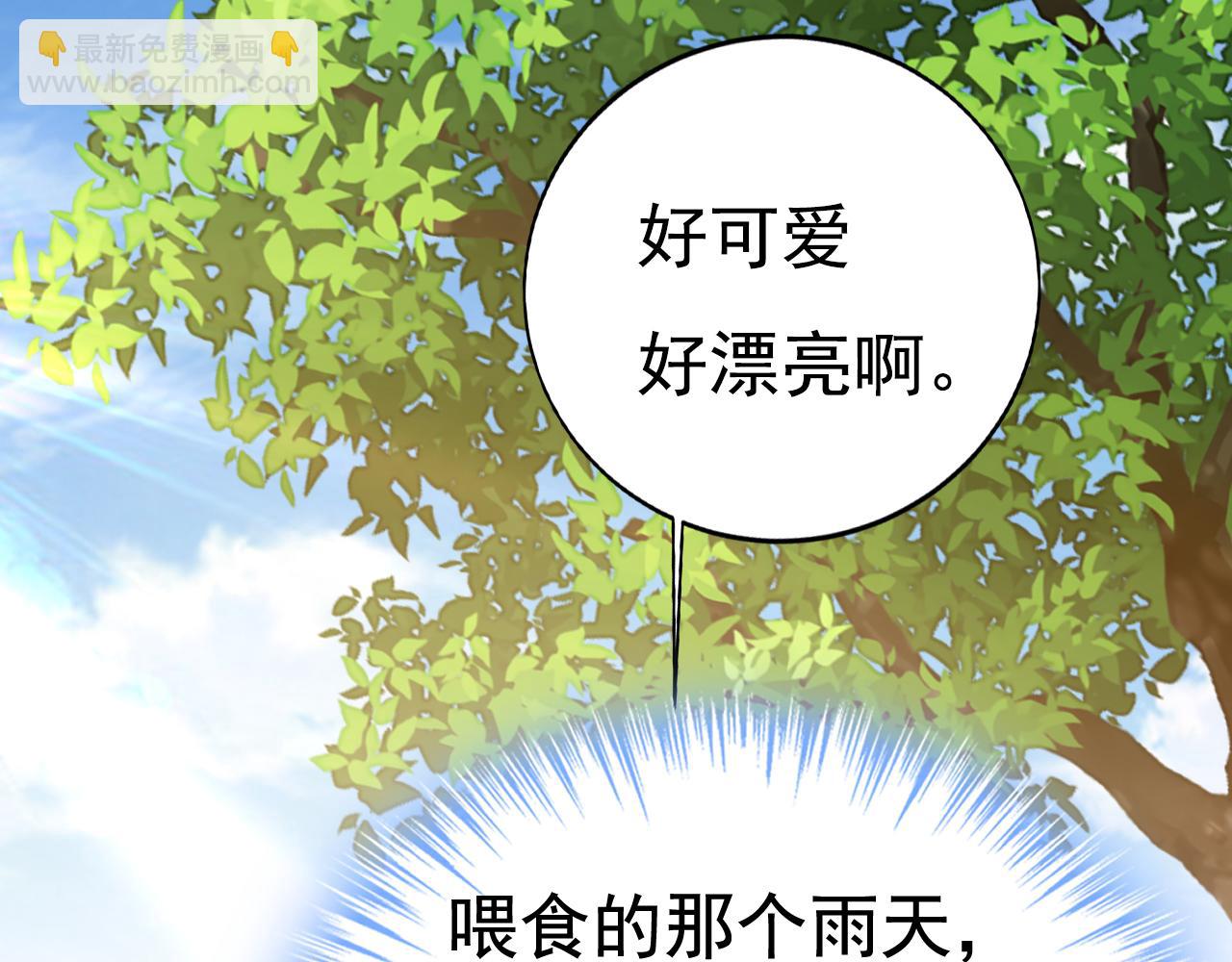 第621话 你居然会养猫？31