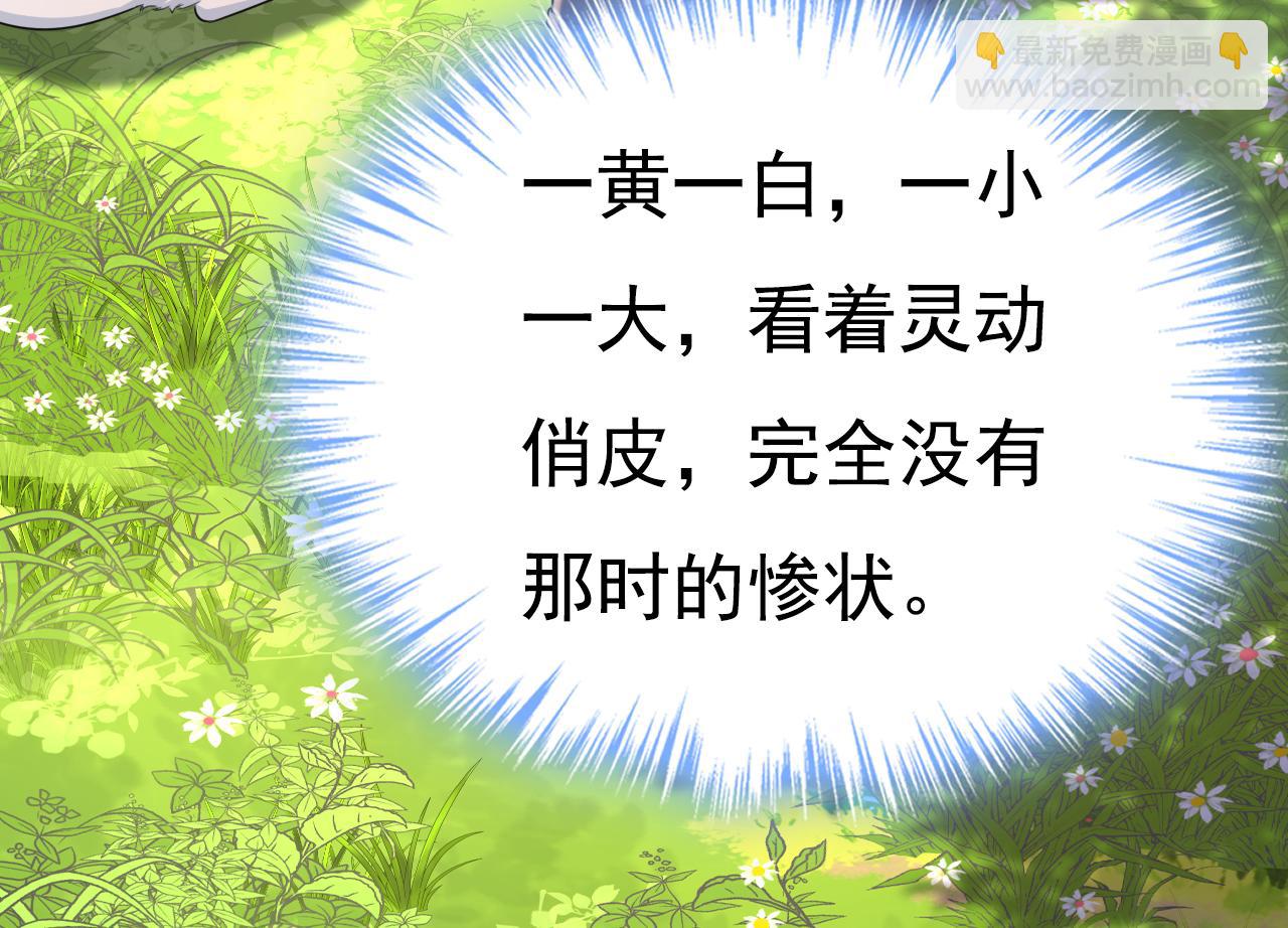 第621话 你居然会养猫？35