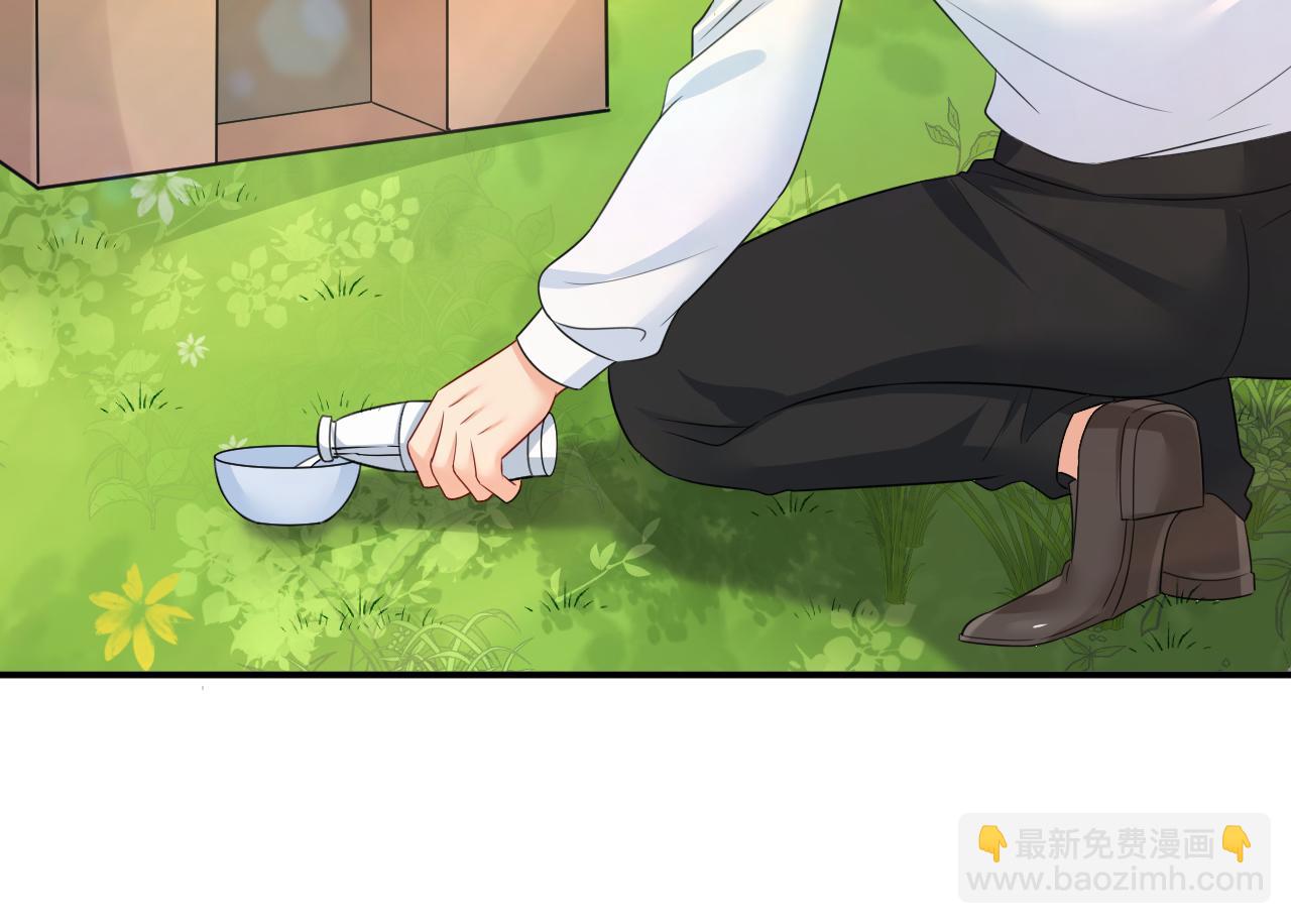 第621话 你居然会养猫？4