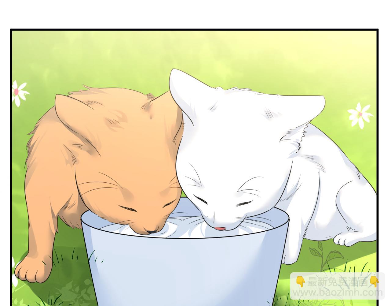 第621话 你居然会养猫？5