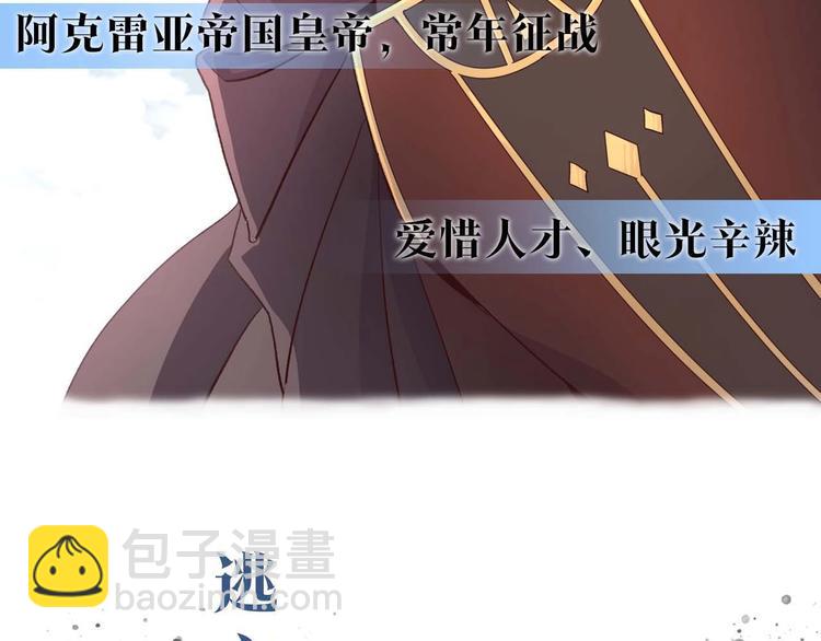 你绝对没见过这种钢铁女骑士！44