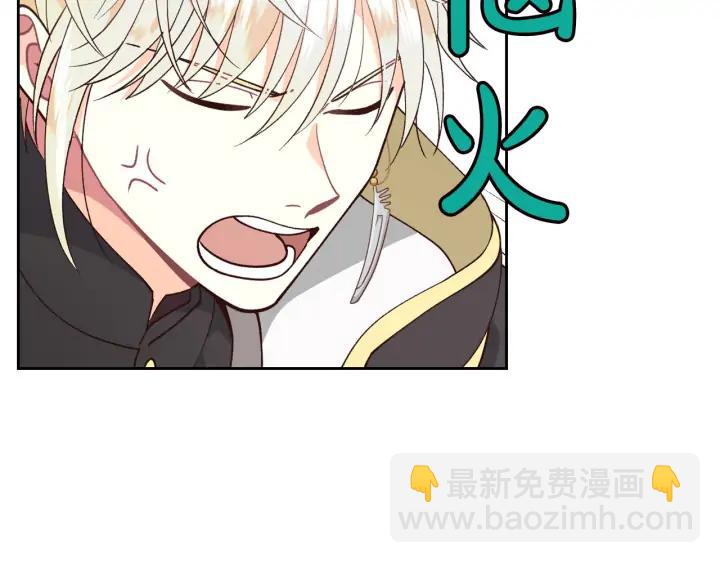 第28话 敌国公主17