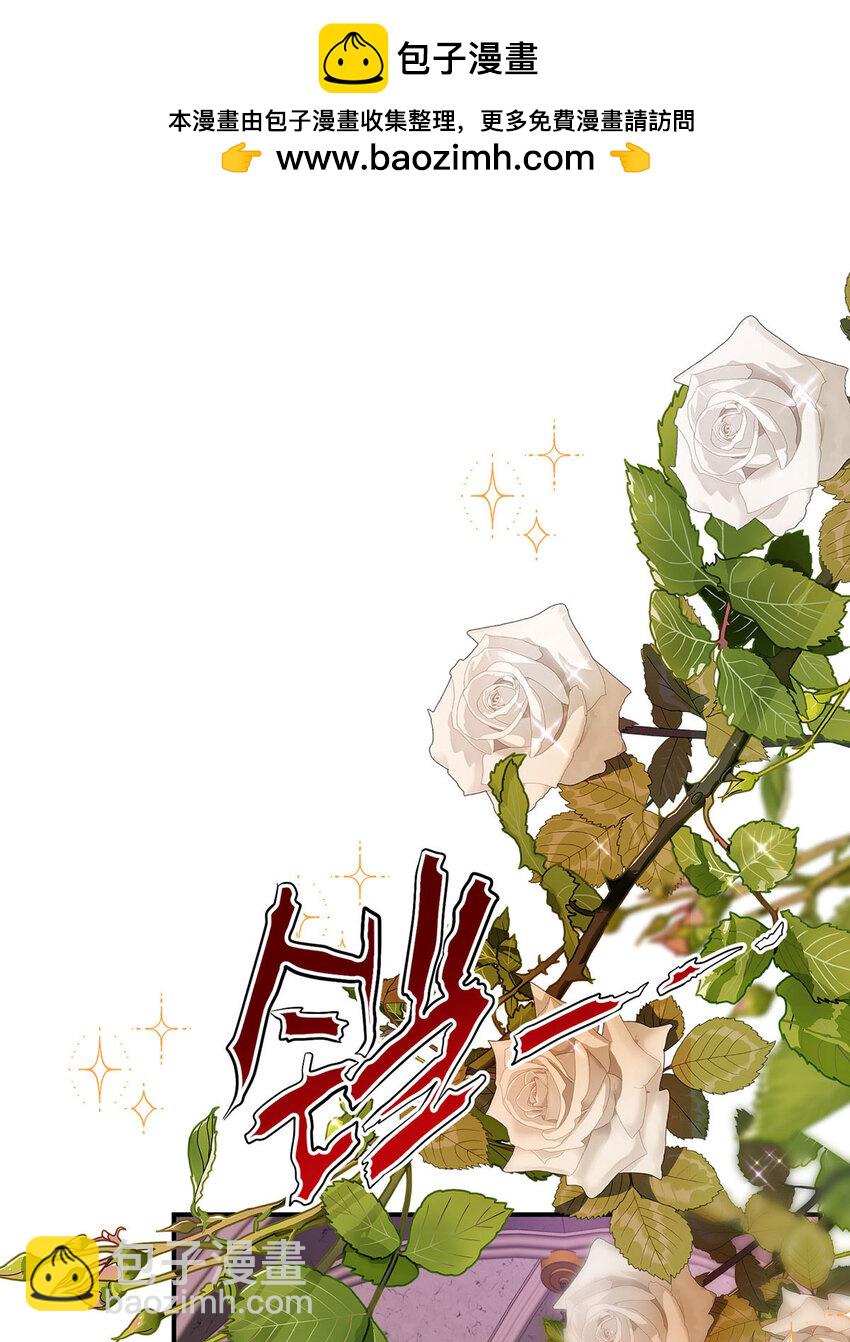 第185话 撒花了1