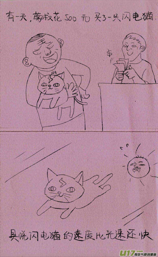 菊叔养猫0