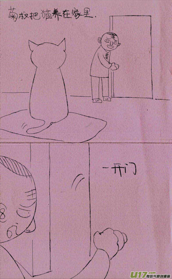 菊叔养猫1