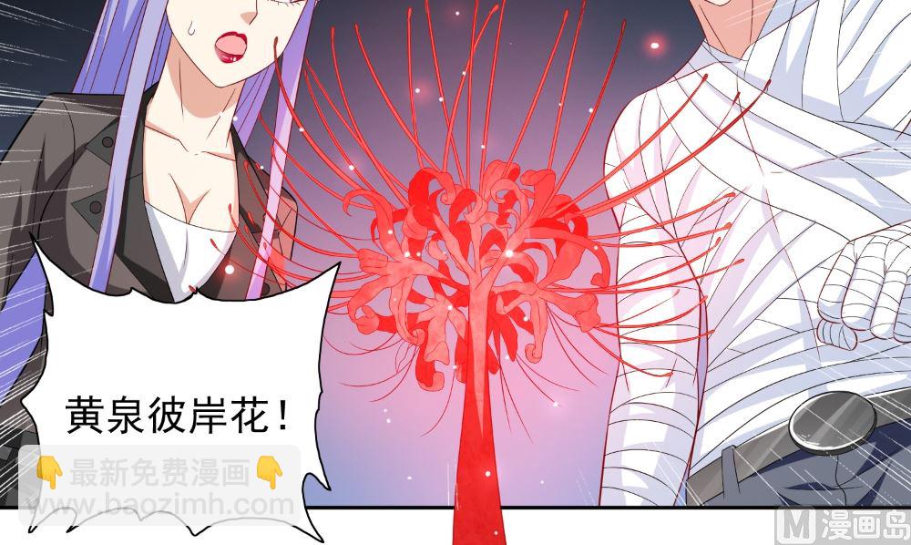 第122话 行走的炼丹炉26